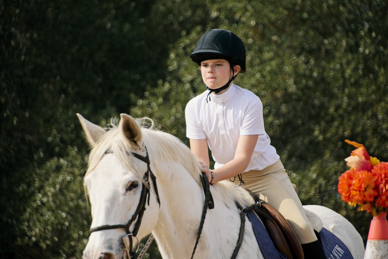 Hunston Riding School Hunters chase farms HORSEBACK RIDING lessons & camp WIMBERLEY, TX ...