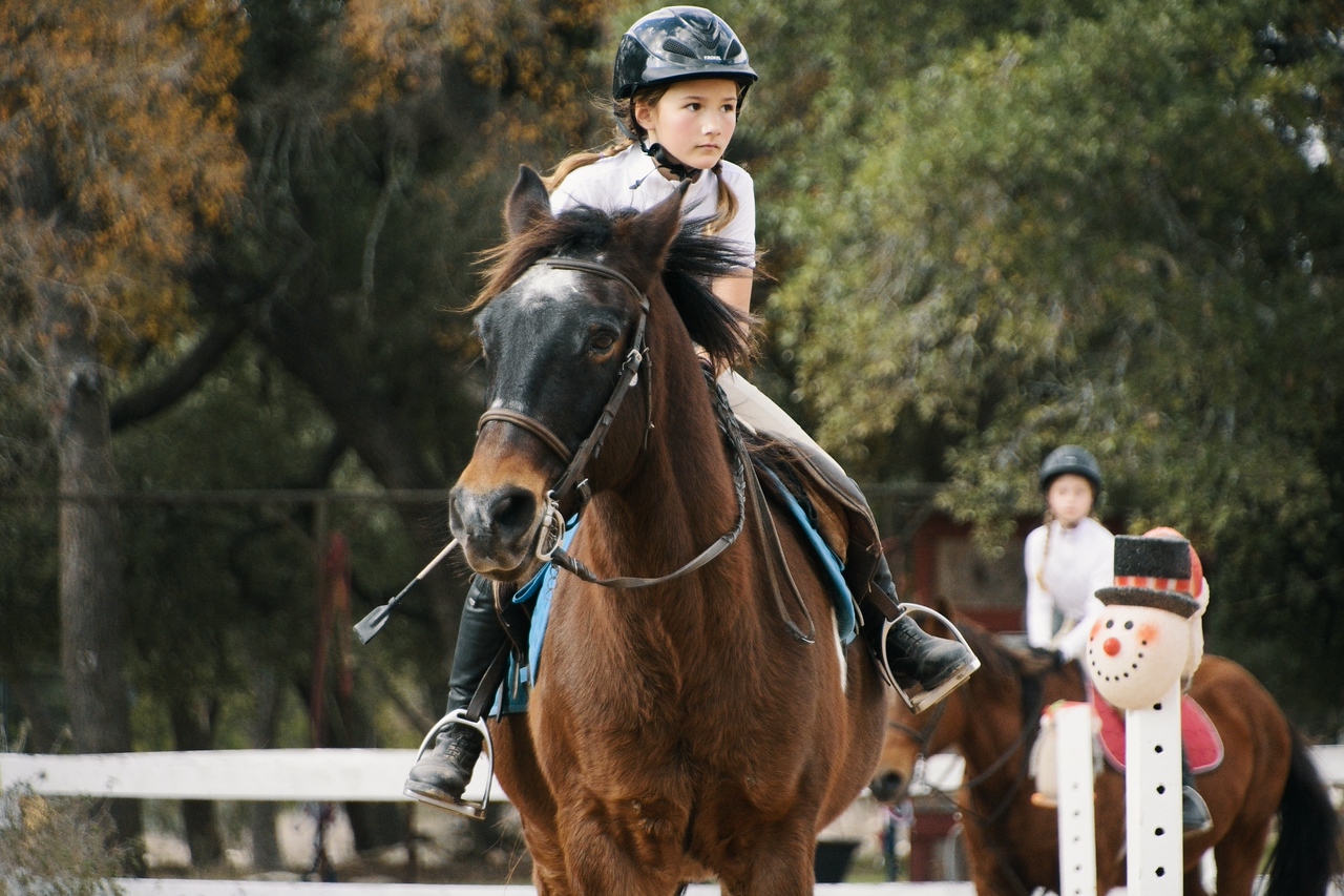 Hunston Riding School Hunters chase farms HORSEBACK RIDING lessons & camp WIMBERLEY, TX ...