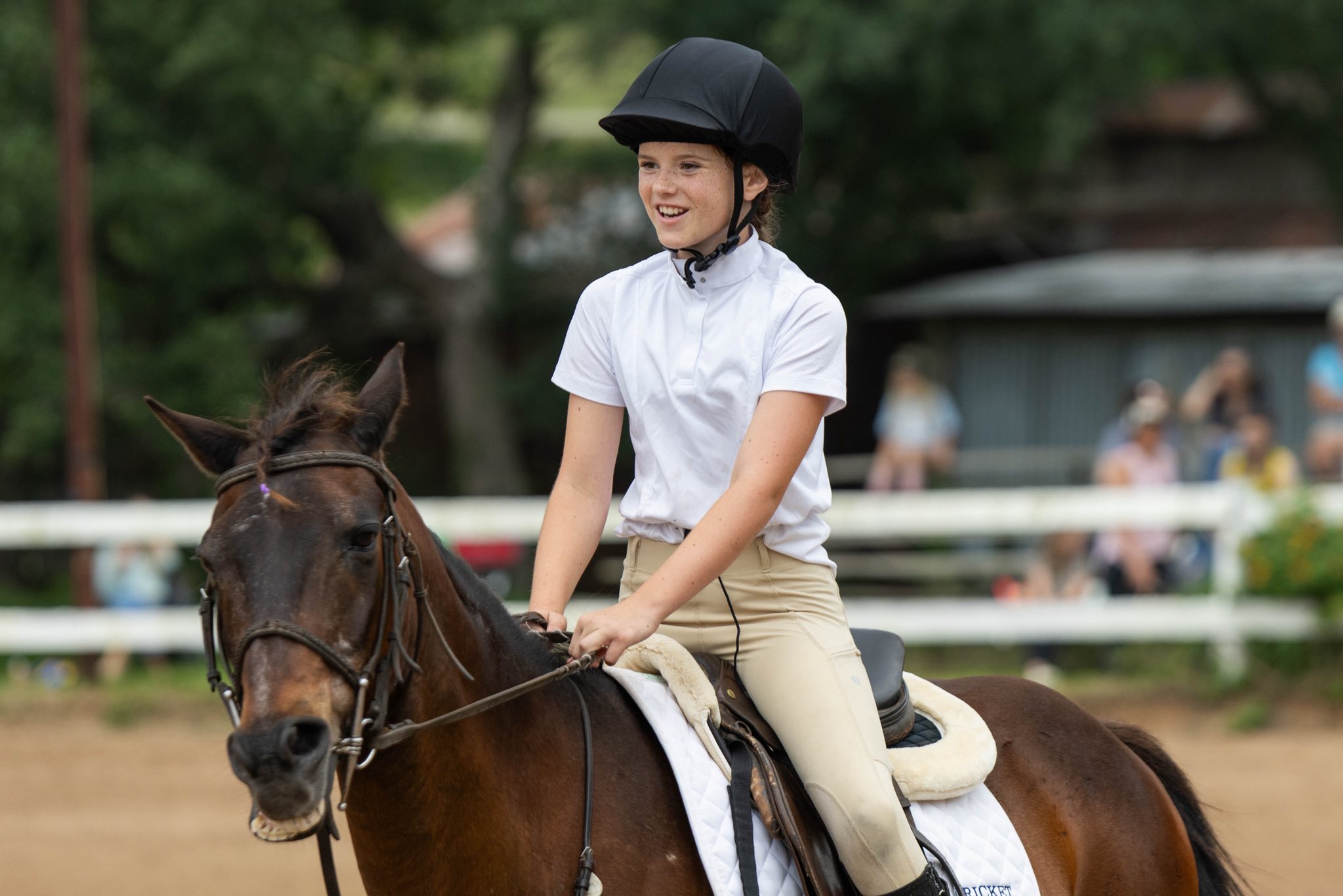 Hunston Riding School Hunters chase farms HORSEBACK RIDING lessons & camp WIMBERLEY, TX ...